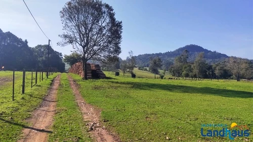 Área de Terras / Chácaras à venda em Nova Vila, Ivoti
