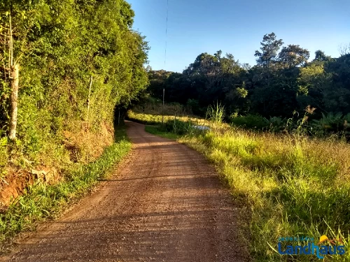 Área de Terras / Chácaras à venda em Vila Rica, Presidente Lucena