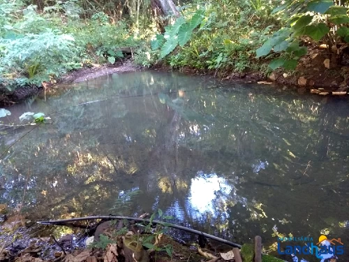 Área de Terras / Chácaras à venda em Vila Rica, Presidente Lucena