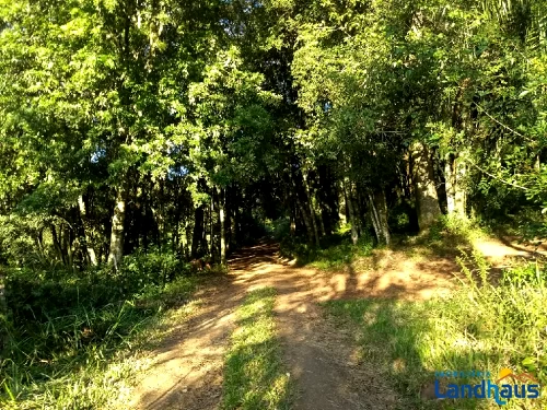 Área de Terras / Chácaras à venda em Vila Rica, Presidente Lucena