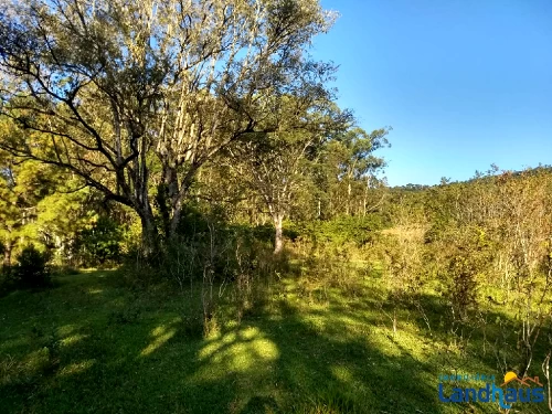 Área de Terras / Chácaras à venda em Vila Rica, Presidente Lucena