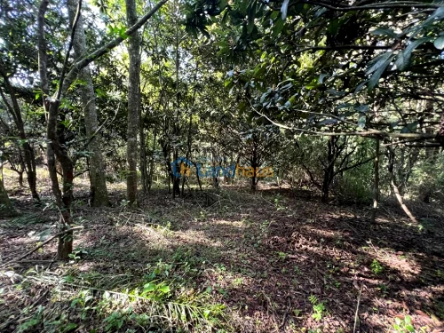 Terreno à venda em Travessão, Dois Irmãos