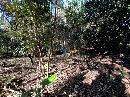 Terreno à venda em Travessão, Dois Irmãos