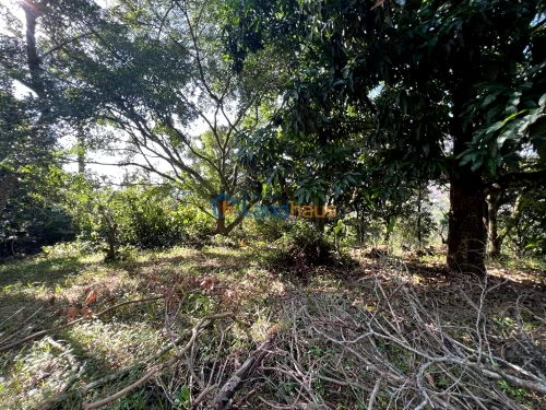Terreno à venda em Travessão, Dois Irmãos