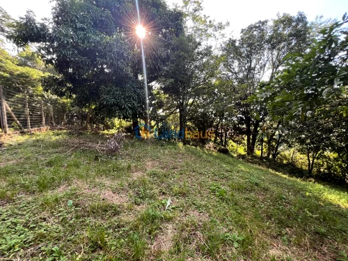 Terreno à venda em Travessão, Dois Irmãos