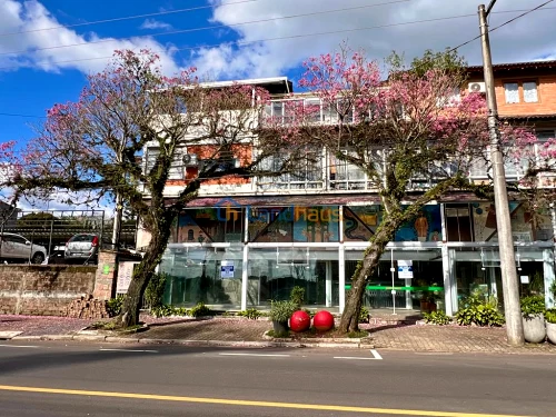 Sala / Loja para alugar em 7 de Setembro, Ivoti