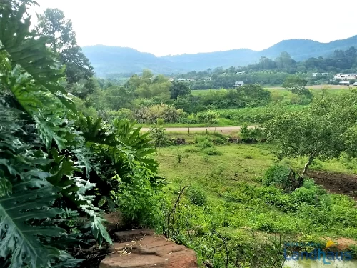 Área de Terras / Chácaras à venda em Linha Nova Baixa, Presidente Lucena