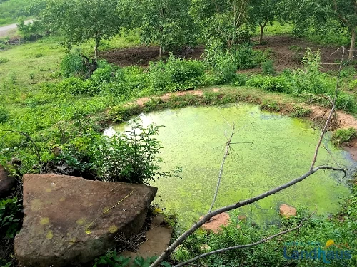Área de Terras / Chácaras à venda em Linha Nova Baixa, Presidente Lucena