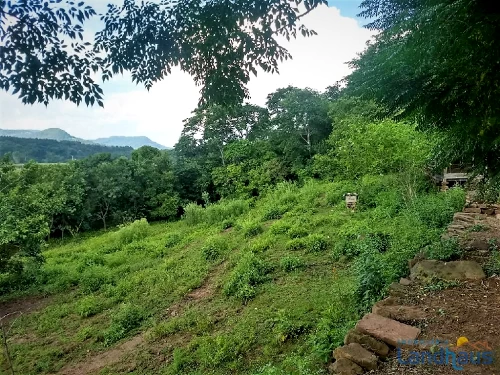 Área de Terras / Chácaras à venda em Linha Nova Baixa, Presidente Lucena