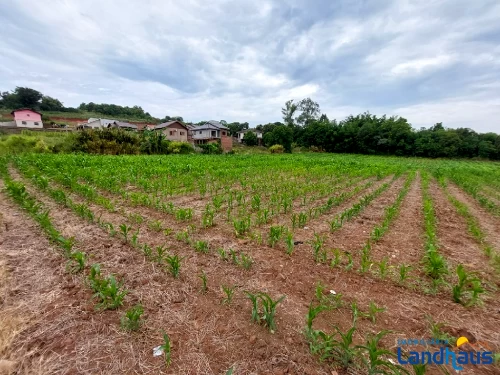 Área de Terras / Chácaras à venda em Centro, São José do Hortêncio