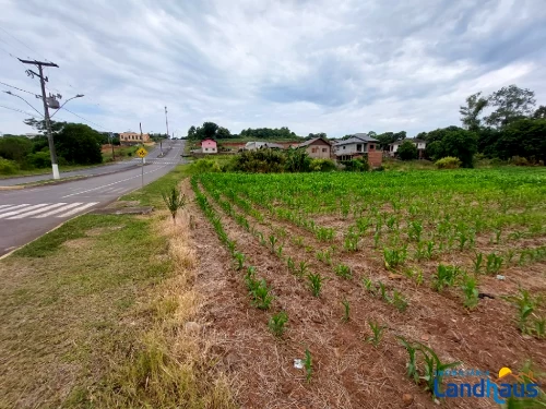 Área de Terras / Chácaras à venda em Centro, São José do Hortêncio