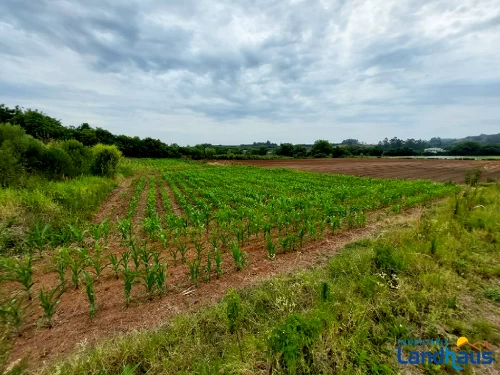 Área de Terras / Chácaras à venda em Centro, São José do Hortêncio