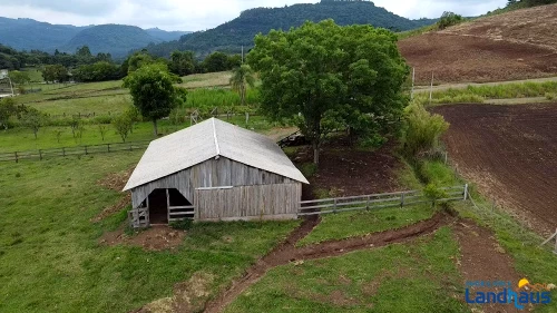 Área de Terras / Chácaras à venda em Vila Rica, Presidente Lucena