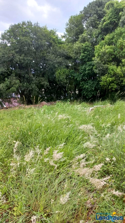 Terreno à venda em Cidade Nova, Ivoti