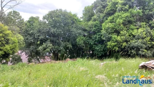 Terreno à venda em Cidade Nova, Ivoti