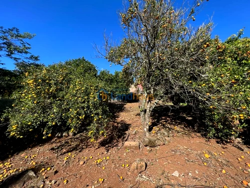 Terreno à venda em 7 de Setembro, Ivoti