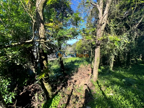 Terreno à venda em Jardim Panorâmico, Ivoti