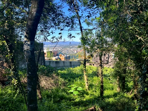 Terreno à venda em Jardim Panorâmico, Ivoti
