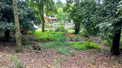 Terreno à venda em Cidade Nova, Ivoti