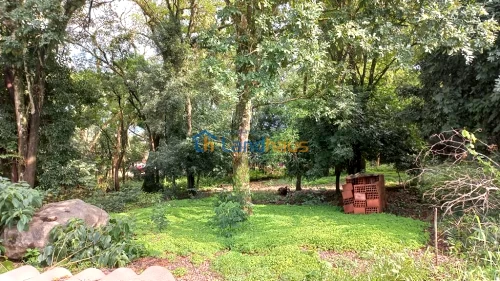 Terreno à venda em Cidade Nova, Ivoti