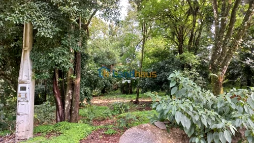 Terreno à venda em Cidade Nova, Ivoti