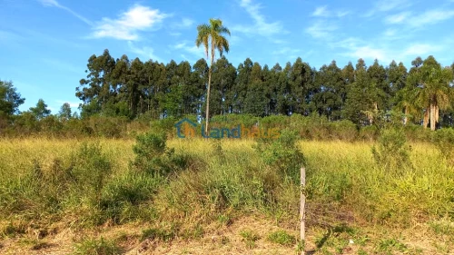 Terreno à venda em São João, Dois Irmãos