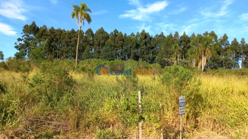 Terreno à venda em São João, Dois Irmãos