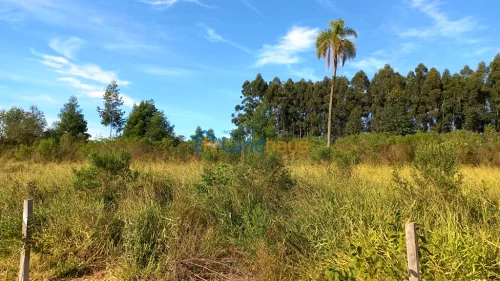Terreno à venda em São João, Dois Irmãos