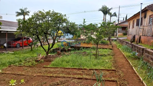 Terreno à venda em Harmonia, Ivoti
