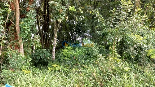 Terreno à venda em Jardim Panorâmico, Ivoti