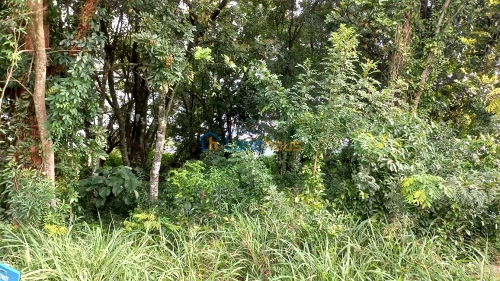 Terreno à venda em Jardim Panorâmico, Ivoti