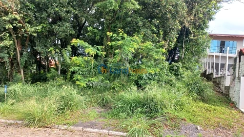 Terreno à venda em Jardim Panorâmico, Ivoti
