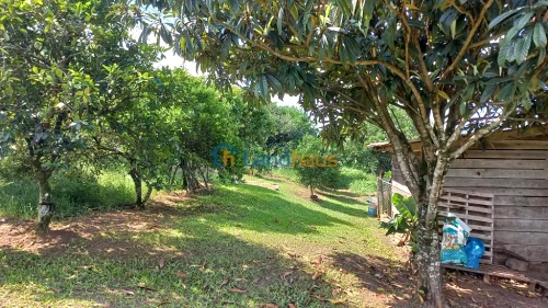 Terreno à venda em Centro, Presidente Lucena