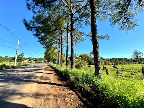 Área de Terras / Chácaras à venda em Nova Vila, Ivoti