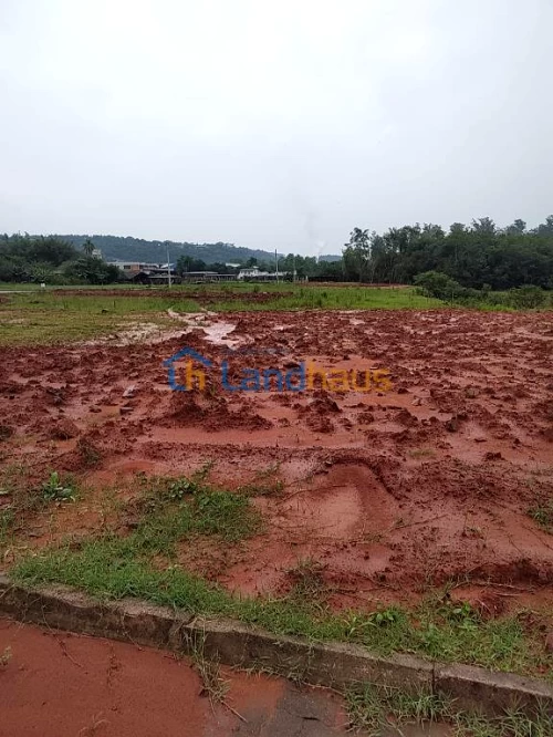 Terreno à venda em Centro, Lindolfo Collor
