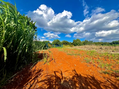 Terreno à venda em Bom Jardim, Ivoti