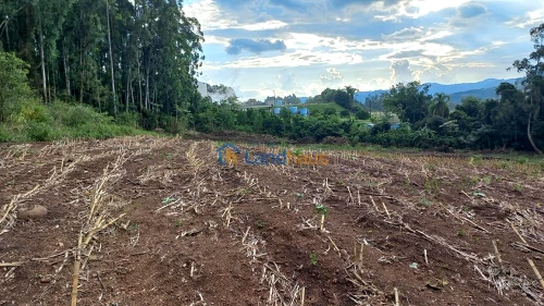 Área de Terras / Chácaras à venda em Picada Schneider, Presidente Lucena