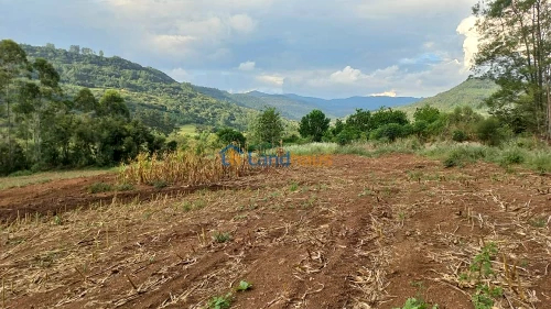 Área de Terras / Chácaras à venda em Picada Schneider, Presidente Lucena