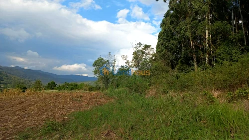 Área de Terras / Chácaras à venda em Picada Schneider, Presidente Lucena