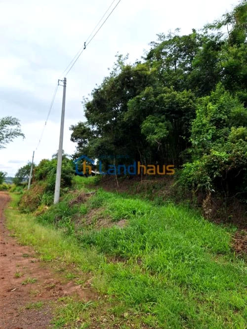 Área de Terras / Chácaras à venda em Capela do Rosario, São José do Hortêncio
