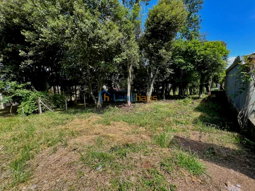 Terreno à venda em Vista Alegre, Ivoti