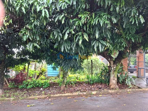 Terreno à venda em Jardim do Alto, Ivoti