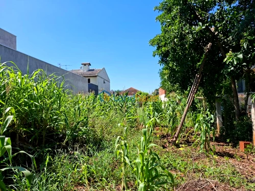 Terreno à venda em Jardim Panorâmico, Ivoti