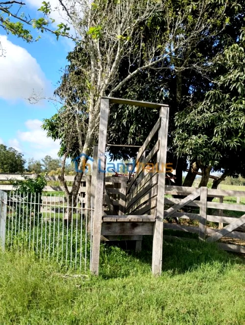 Área de Terras / Chácaras à venda em Paquete, Capela de Santana