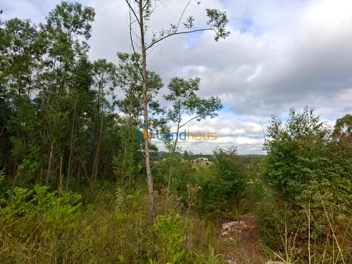 Área de Terras / Chácaras à venda em Macaco Branco, Portão